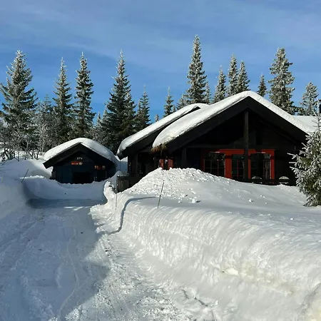 Ski-inski-out Near Fagerasen In Σπίτι διακοπών *