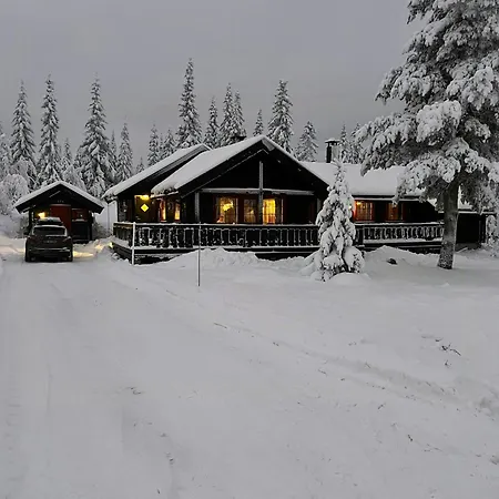 Ski-inski-out Near Fagerasen In 特吕西尔